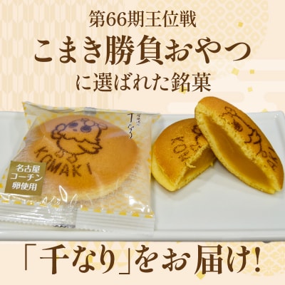 第66期王位戦 対局中に両棋士に選ばれた勝負おやつ 「千なり 黄身あん」 両口屋是清[045R11]