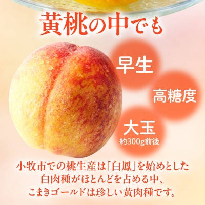 こまきゴールド(期間限定・数量限定)[011O02]