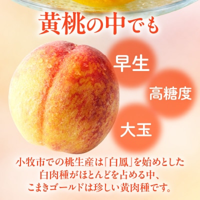 こまきゴールド(期間限定・数量限定)[011O02]