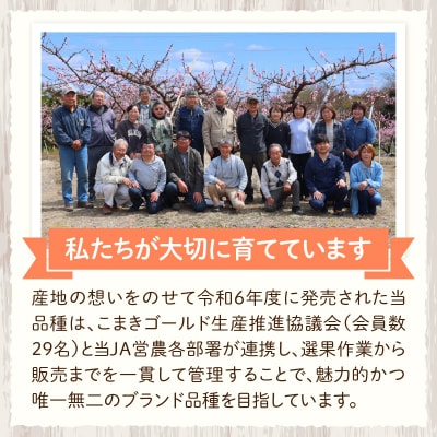 こまきゴールド(期間限定・数量限定)[011O02]