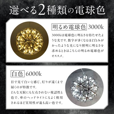 屋外対応の輝くLEDシャンデリア|WPP035 白色[172C07-02]