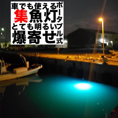 船釣り・堤防釣りに最適!LEDで魚を誘う|z029-20m[172C10]