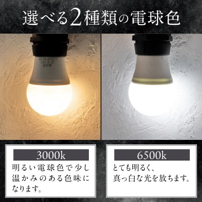 アウトドアに最適なストリングライト|でんらい Z042 電球色[172C11-01]