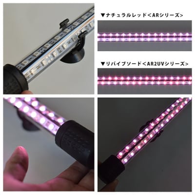 朱紫龍灯 リバイブソード EX LED 2列 UV 紅龍|AR2-90-UV-EX[172C14]