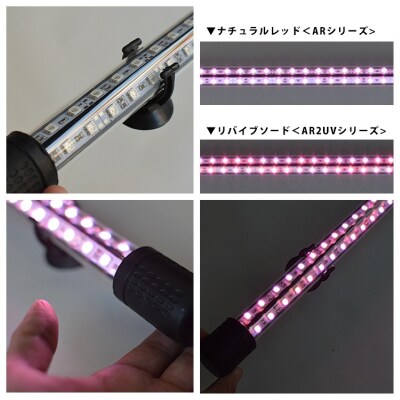朱紫龍灯 リバイブソード EX LED 2列 UV 紅龍|AR2-90-UV-EX[172C14]