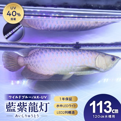 スリム&高耐久!金龍を美しく、UV-Aチップ配合の水中LED|AK-120UV-EX[172C15]