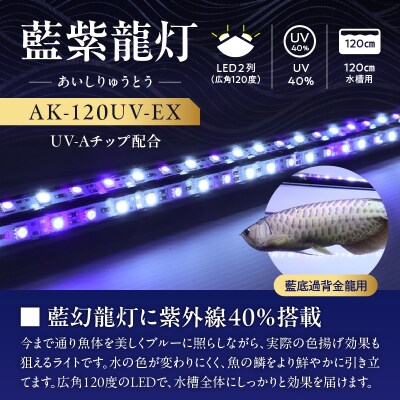 スリム&高耐久!金龍を美しく、UV-Aチップ配合の水中LED|AK-120UV-EX[172C15]