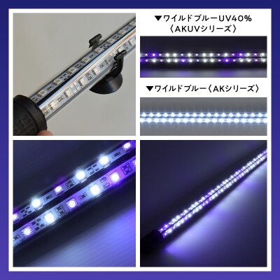スリム&高耐久!金龍を美しく、UV-Aチップ配合の水中LED|AK-120UV-EX[172C15]