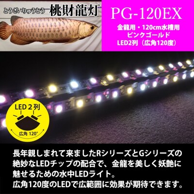 金龍の鱗を美しく照らす!ピンクゴールドの水中アロワナライト|PG120-EX[172C16]