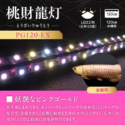 金龍の鱗を美しく照らす!ピンクゴールドの水中アロワナライト|PG120-EX[172C16]