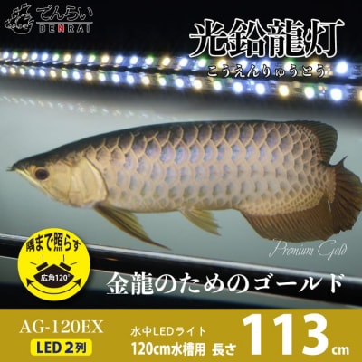 水槽全体を明るく照らし、鱗を際立たせる!金龍専用の高輝度水中ライト|AG120-EX[172C17]