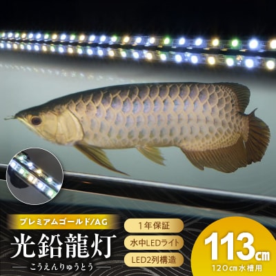 水槽全体を明るく照らし、鱗を際立たせる!金龍専用の高輝度水中ライト|AG120-EX[172C17]