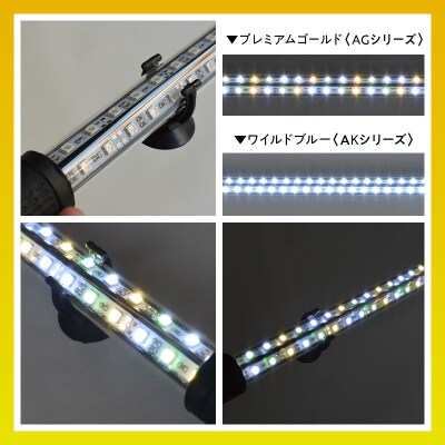 水槽全体を明るく照らし、鱗を際立たせる!金龍専用の高輝度水中ライト|AG120-EX[172C17]