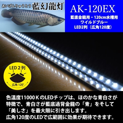 一瞬で綺麗に魅せる!金龍の青を最大限に強調する水中LEDライト|AK120-EX[172C18]