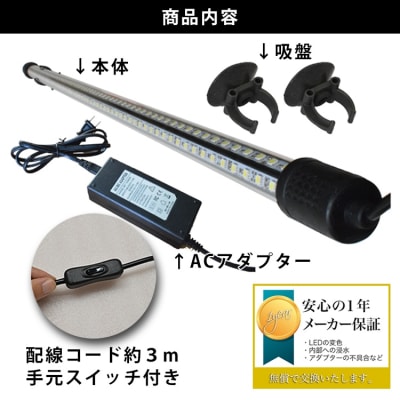 一瞬で綺麗に魅せる!金龍の青を最大限に強調する水中LEDライト|AK120-EX[172C18]