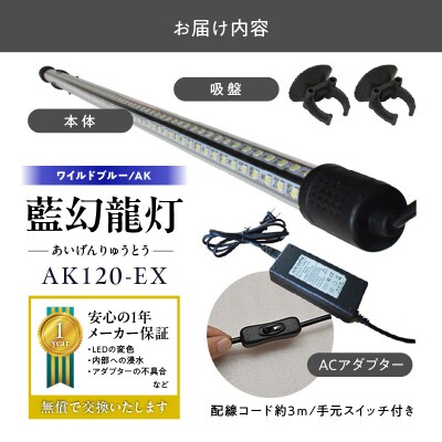 一瞬で綺麗に魅せる!金龍の青を最大限に強調する水中LEDライト|AK120-EX[172C18]