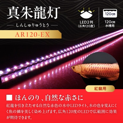 変化を体感!水を赤くせず、紅龍だけ美しく魅せる水中LEDライト|AR120-EX[172C19]