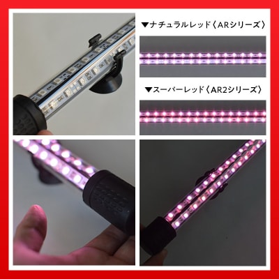 変化を体感!水を赤くせず、紅龍だけ美しく魅せる水中LEDライト|AR120-EX[172C19]
