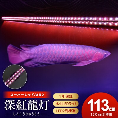 紅龍オーナー必見!一瞬でアロワナを美しく魅せる水中LEDライト|AR2-120-EX[172C20]