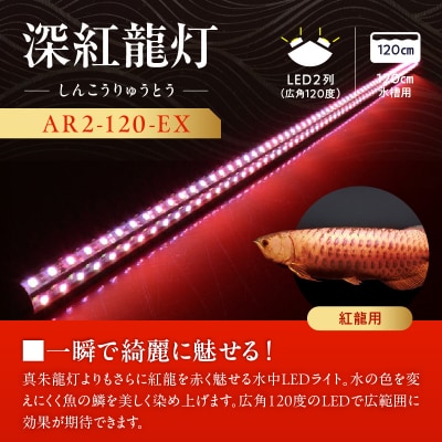 紅龍オーナー必見!一瞬でアロワナを美しく魅せる水中LEDライト|AR2-120-EX[172C20]