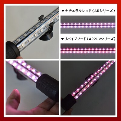水中から直接照射可、UV-A搭載のアロワナ用LEDライト|AR2-120-UV-EX[172C21]