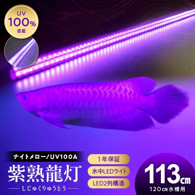 紫外線100%LEDで紅龍・金龍の色彩を引出す水中ライト|UVA100-120EX[172C22]