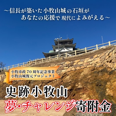 信長が築いた小牧山城の石垣があなたの応援で現代によみがえる　史跡小牧山　夢・チャレンジ寄附金