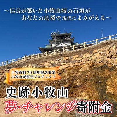 信長が築いた小牧山城の石垣があなたの応援で現代によみがえる　夢・チャレンジ寄附金 [999CF01]