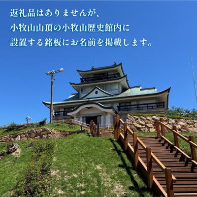 信長が築いた小牧山城の石垣があなたの応援で現代によみがえる　夢・チャレンジ寄附金 [999CF01]