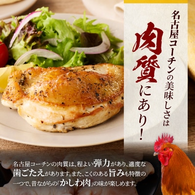 名古屋コーチン　むね肉1.2kg大満足セット[001T11]
