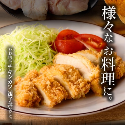 名古屋コーチン　むね肉1.2kg大満足セット[001T11]