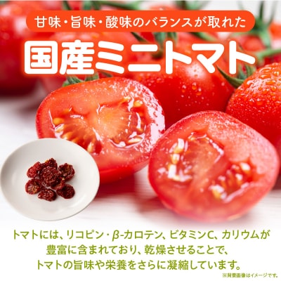 【数量限定】国産ドライトマト20g(20g×1袋)[175R01]