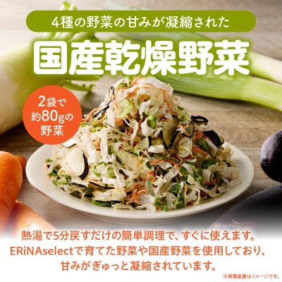 【数量限定】国産乾燥野菜ミックス80g(40g×2袋)[175R02]