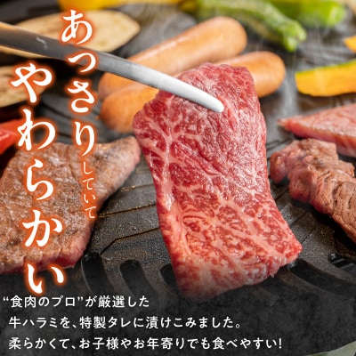 【食肉総合卸 丸正】牛ハラミ味付け2.1kg [153M12]