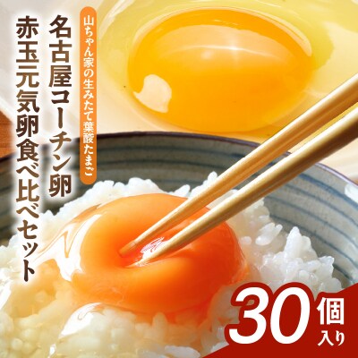 【生みたて葉酸たまご】名古屋コーチン卵・赤玉元気卵 食べ比べセット(合計30個)[132Y09]