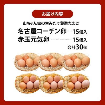 【生みたて葉酸たまご】名古屋コーチン卵・赤玉元気卵 食べ比べセット(合計30個)[132Y09]