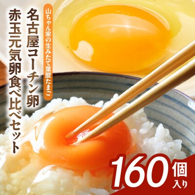 【生みたて葉酸たまご】名古屋コーチン卵・赤玉元気卵 食べ比べセット(合計160個)[132Y12]