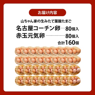 【生みたて葉酸たまご】名古屋コーチン卵・赤玉元気卵 食べ比べセット(合計160個)[132Y12]