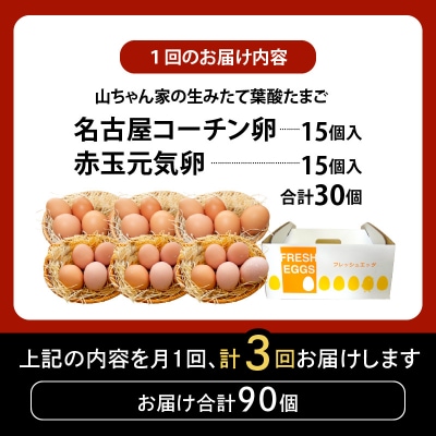 【3ヶ月定期便】「生みたて葉酸たまご」名古屋コーチン卵・赤玉元気卵 30個×3回[132Y09-T]