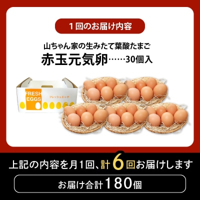 【6ヶ月定期便】「生みたて葉酸たまご」名古屋コーチン卵・赤玉元気卵 30個×6回[132Y10-T]