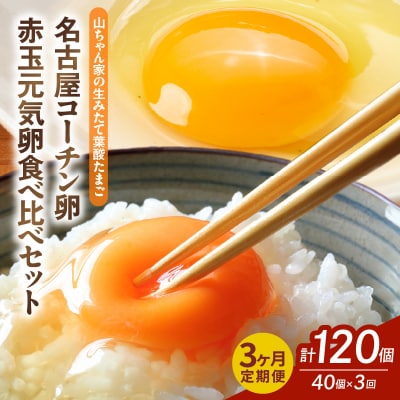 【3ヶ月定期便】「生みたて葉酸たまご」名古屋コーチン卵・赤玉元気卵 40個×3回[132Y11-T]
