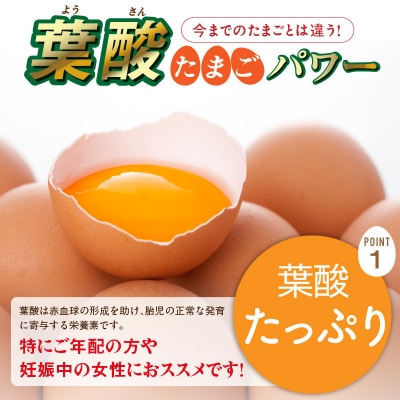 【3ヶ月定期便】「生みたて葉酸たまご」名古屋コーチン卵・赤玉元気卵 40個×3回[132Y11-T]