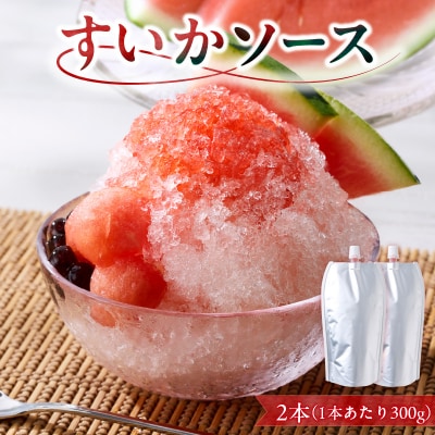 スイカソース 2本セット[138Y05]