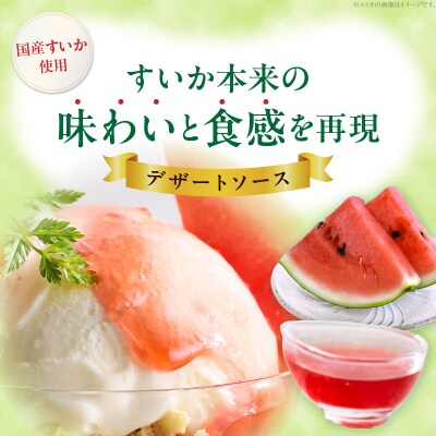 スイカソース 2本セット[138Y05]