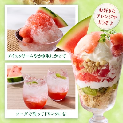 スイカソース 2本セット[138Y05]