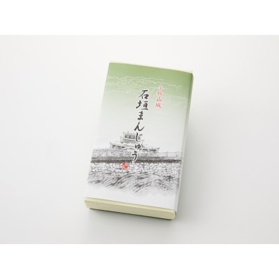 小牧山城　石垣まんじゅう[009B12]