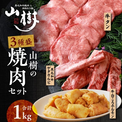 山樹の焼肉セット(黒毛和牛ゲタカルビ、牛タン、白ころホルモン)[047R33]