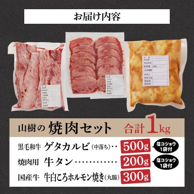 山樹の焼肉セット(黒毛和牛ゲタカルビ、牛タン、白ころホルモン)[047R33]