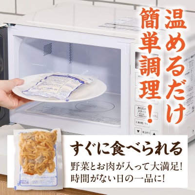 名古屋コーチンのだし香る焼うどん(12食)[181C02]