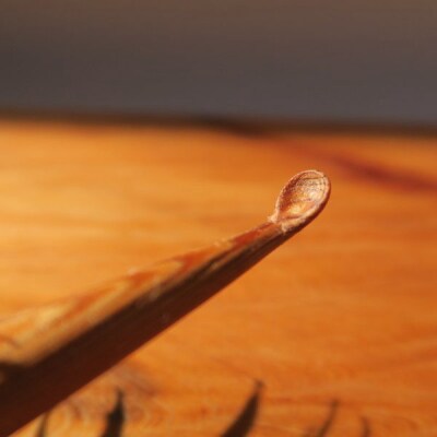 木製耳かき 屋久杉材(上杢) [195S24]